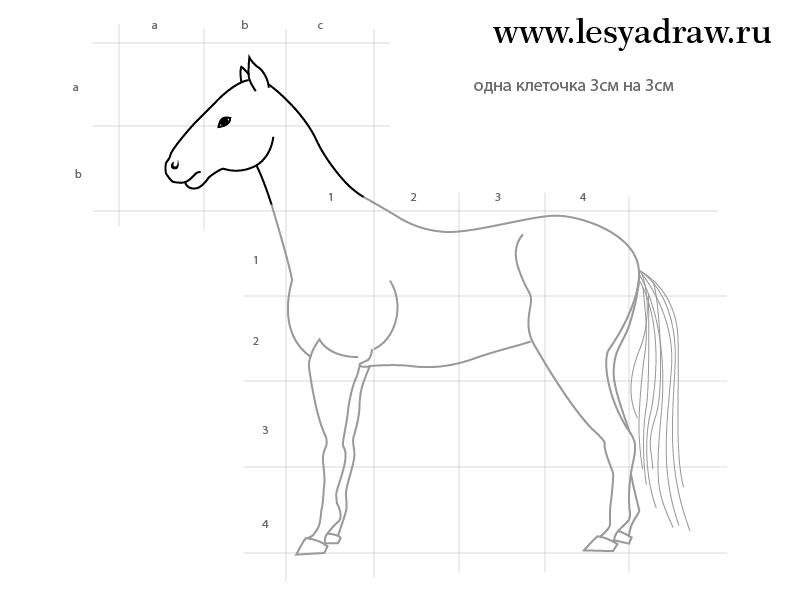 pferd-selber-zeichnen-dekoking-com-5