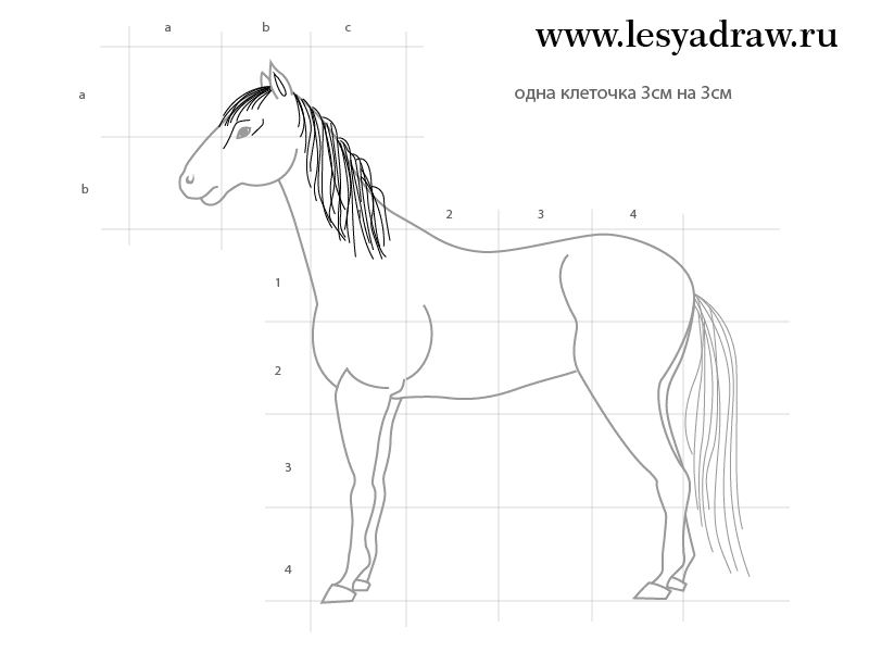 pferd-selber-zeichnen-dekoking-com-6
