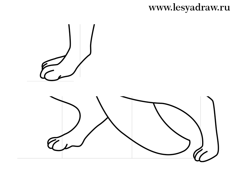 schaeferhund-realistisch-zeichnen-dekoking-com-3