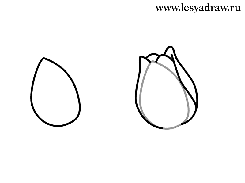 tulpen-selber-zeichnen-dekoking-com-2