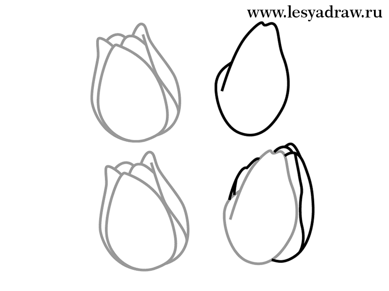 tulpen-selber-zeichnen-dekoking-com-3