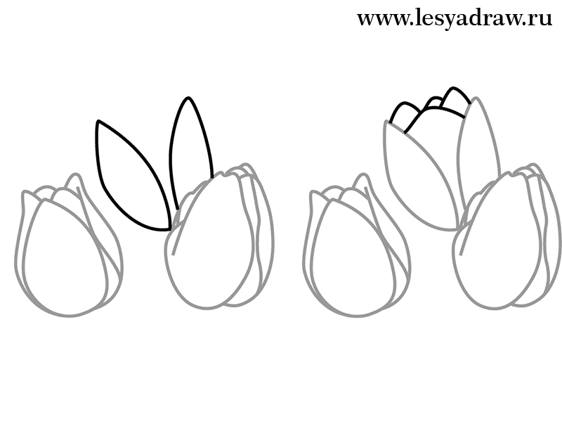 tulpen-selber-zeichnen-dekoking-com-4
