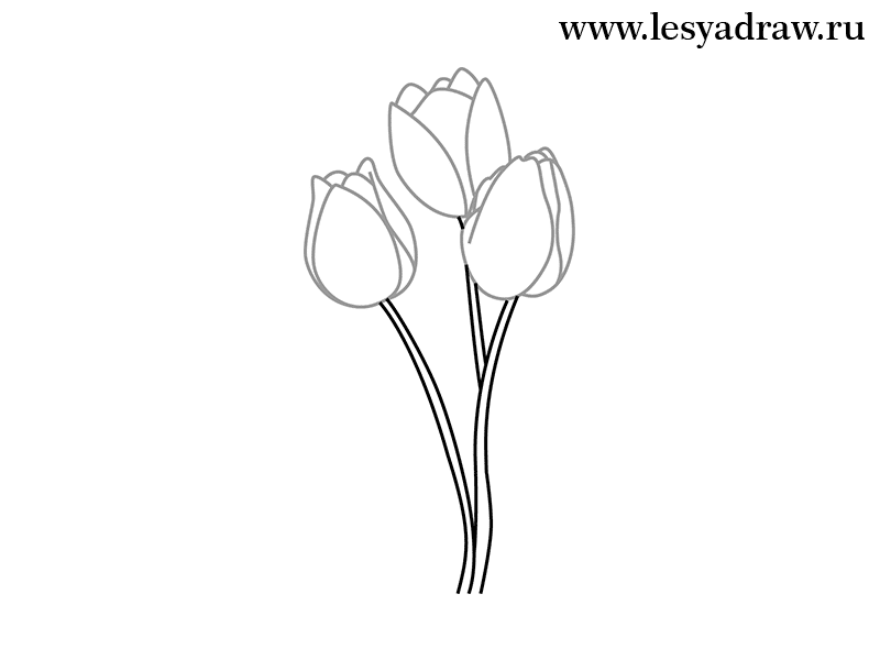 tulpen-selber-zeichnen-dekoking-com-5