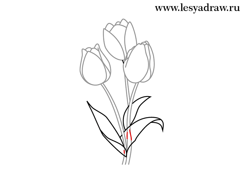 tulpen-selber-zeichnen-dekoking-com-6