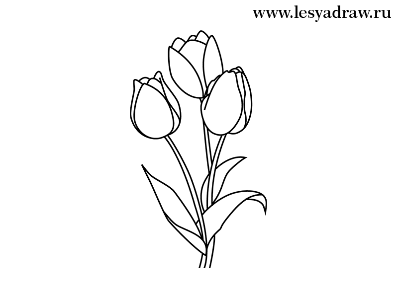 tulpen-selber-zeichnen-dekoking-com