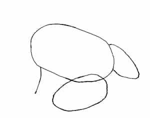 Einen Frosch zeichnen lernen-1