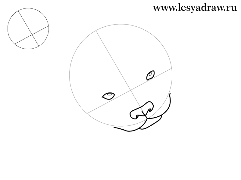 einen-panda-zeichnen-lernen-1