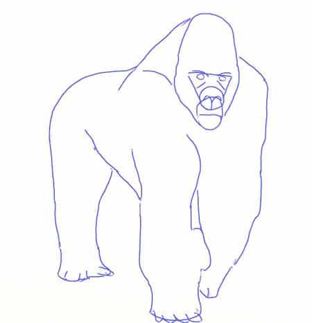 Schimpanse einfach zeichnen-4