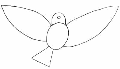 vogel-zeichnen-lernen-2