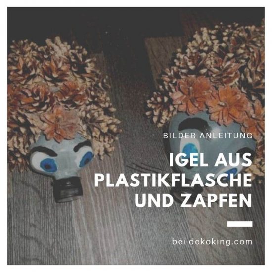 Igel aus Plastikflasche und Zapfen einfach basteln-DIY