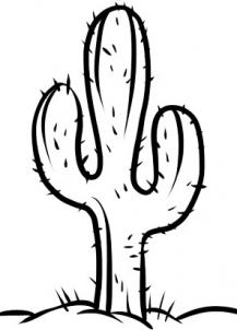 Kaktus zeichnen lernen Anleitung