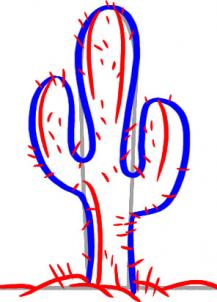 Kaktus zeichnen lernen