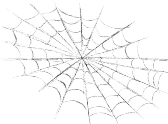 Spinnennetz zeichnen lernen