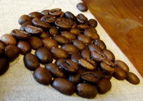 Kaffekatze-5